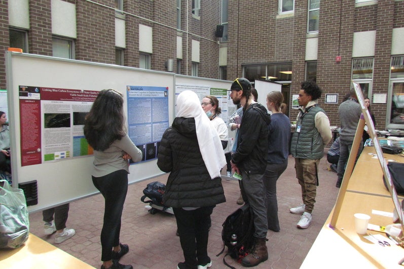 Students reading presentation board at the Student Showcase.