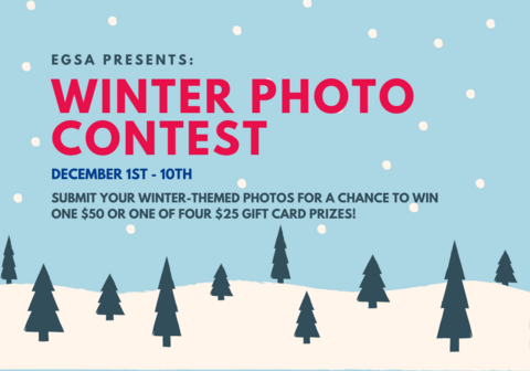 Winter Photo Contest Infographic