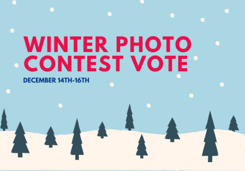 Winter Photo Contest Voting Infographic
