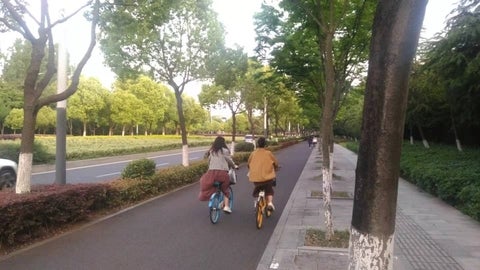 two cyclists on a tree-lined bike pathway near NUFE campus