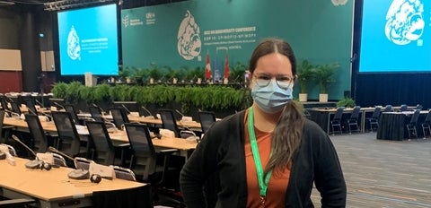 Masked person in to the side of two rows of desks and chairs with the UN confence logos on screens at the front