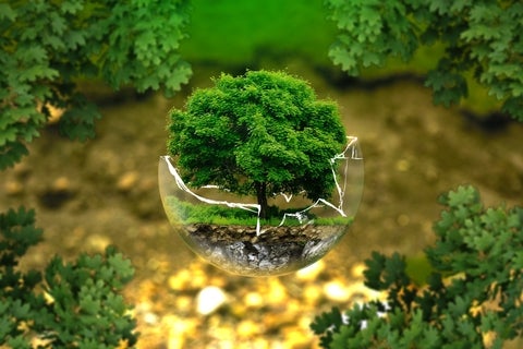 Tree and ground within a broken glass ball, hovering over bits of evergreen branches