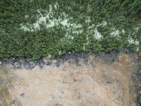 aerial shot wit a boreal forest in the top, and edge of dark material and a lower section of cleared soil with track marks in it.