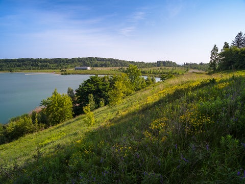 Kelso Conservation area view from top of a hill looking down the hill to the small lake and the dock.