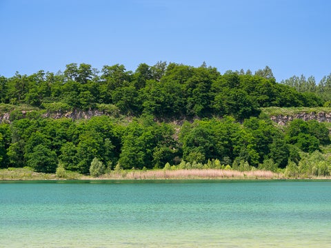 the shores of a water body with low vegetation, then deciduous trees, limestone rock outcrop, with trees and grass growing on top of the hill