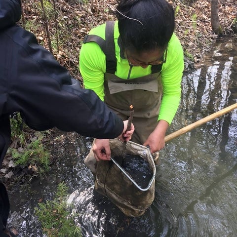 person in a creek holding a sampling bag being filled with sediments