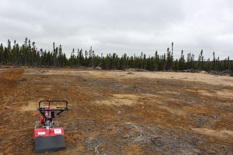 view of patch of ground being prepared for agricultural experiments. boreal trees are in the background.