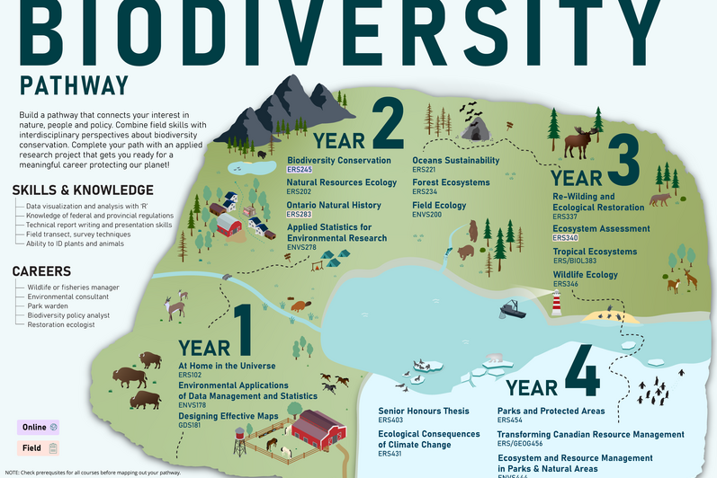 Infographic showing how students can study biodiversity. 