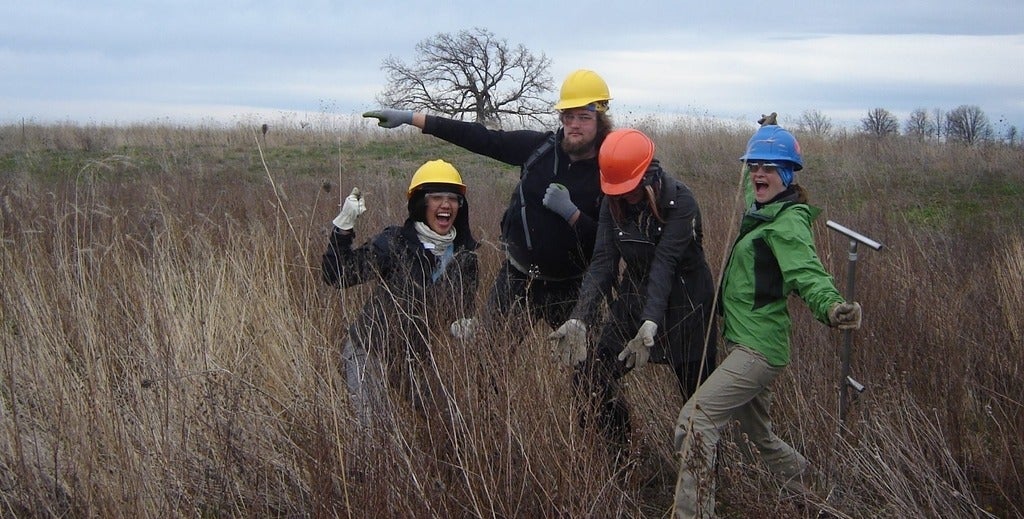 four people wearing hardhats in a field of dried tall grasses pointing at the plants and laughing.