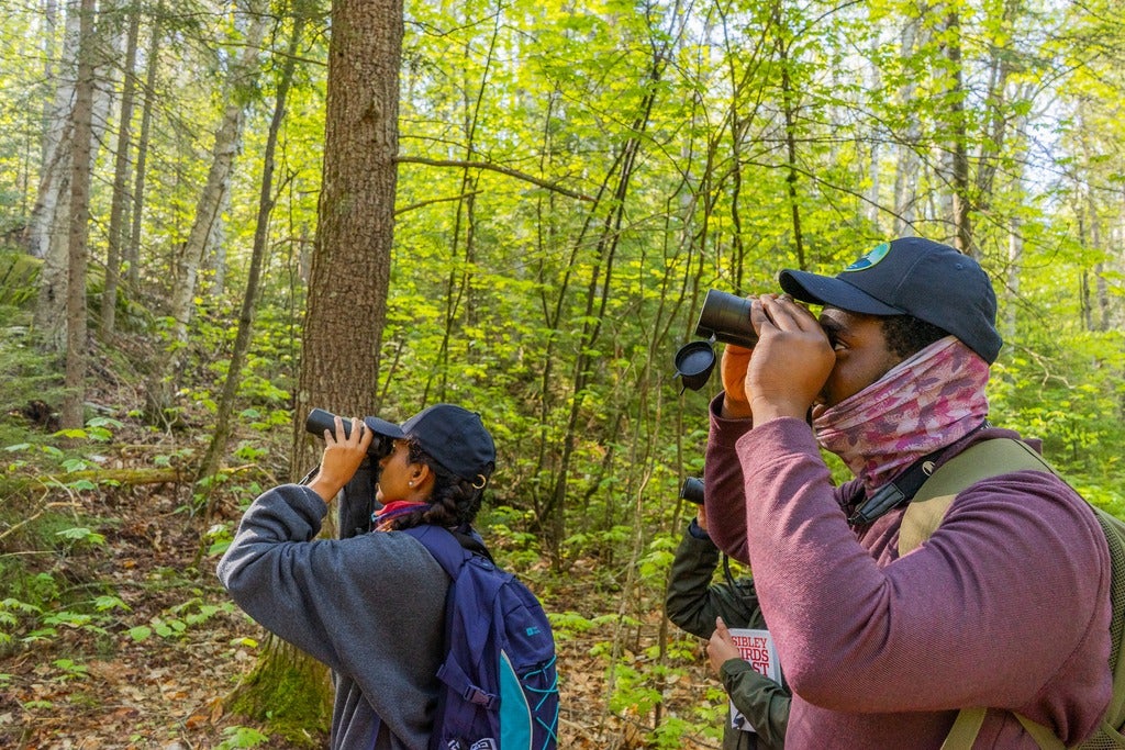 Two students birdwathcing through binoculars in a forest