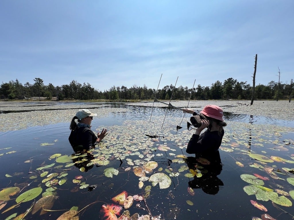 Two people in chest-deep water hold a tracking antenna