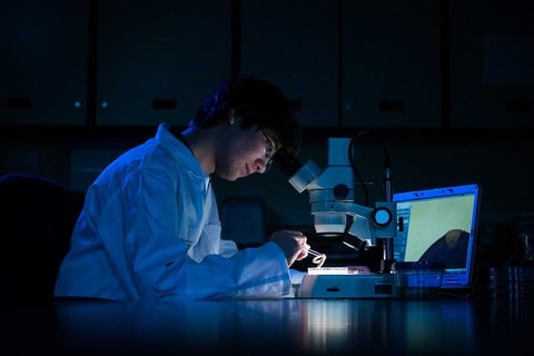 Michael McTavish at a microscope