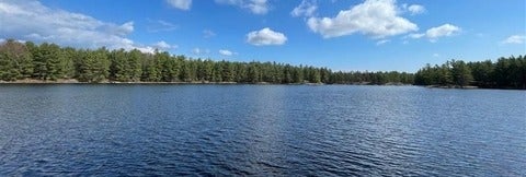 wetland that looks like a small lake, with conifer trees in the background