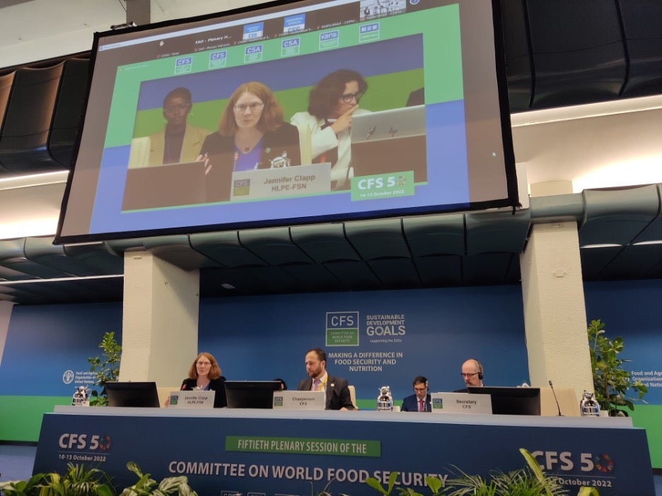 Three panelists at the U.N. Committee on Food Security