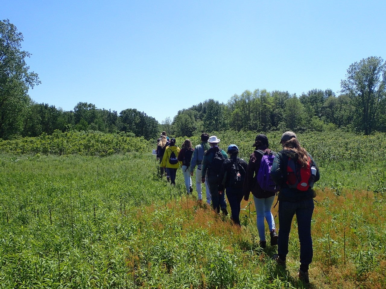 ERS 342 students in the field