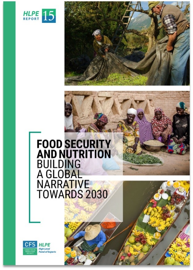Report cover of HLPC Report titled Food Security and Nutrition: Building a Global Narrative Towards 2030