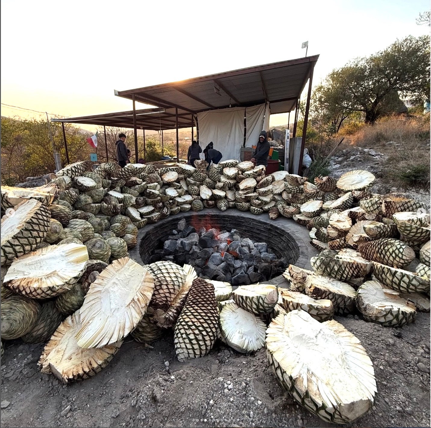 stacks of espadilla mezcal dry around a circular fire pit at a distillery in Mexico