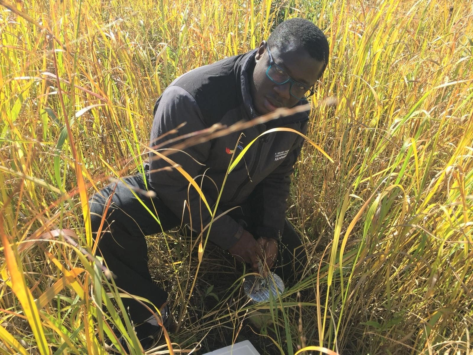 person taking a sample surrounded by tall grasses