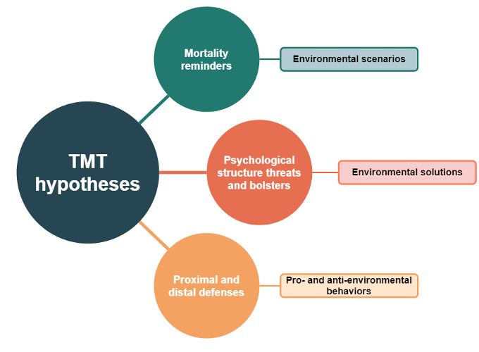 A flow chart displaying how the TMT hypotheses applies to multiple scenarios  