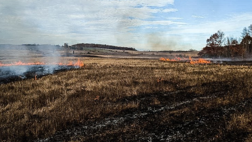 small fires burning in a line on a field of grasses