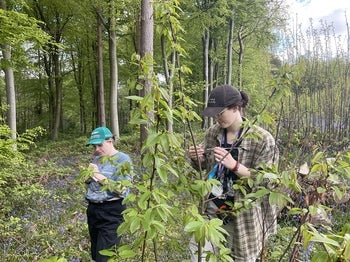 two people in a hardwood forest opening taking notes about the trees