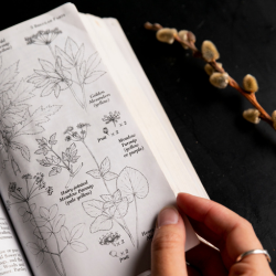 A book about plants lays open on a desktop in the Ecology Lab.