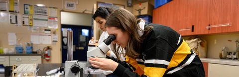 Student looking through microscope in the wetlands lab