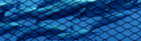Dolphins behind a net.