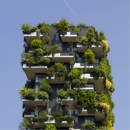 Cities of the future