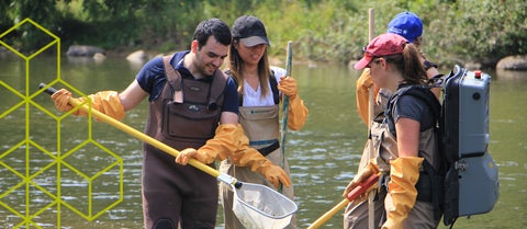 Students doing fieldwork. 