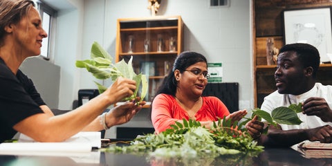 Graduate students in the ecology lab