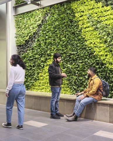 Students walking by the green wall.