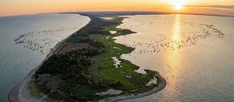 Long Point Biosphere Reserve at sunrise