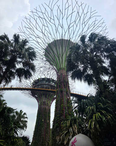 Gardens by the Bay in Singapore