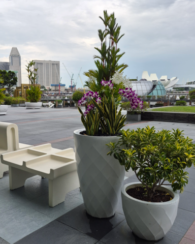 Downtown Singapore