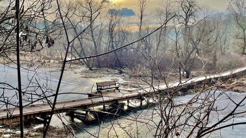 A bench on a boardwalk in a marsh