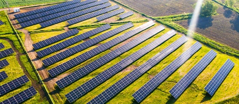 a field of solar panels