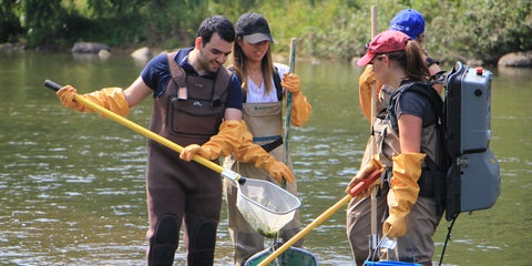 Graduate students completing specimen collection in a stream.