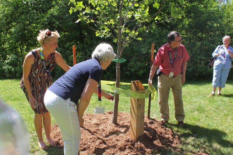 group of people planting a tuilp tree