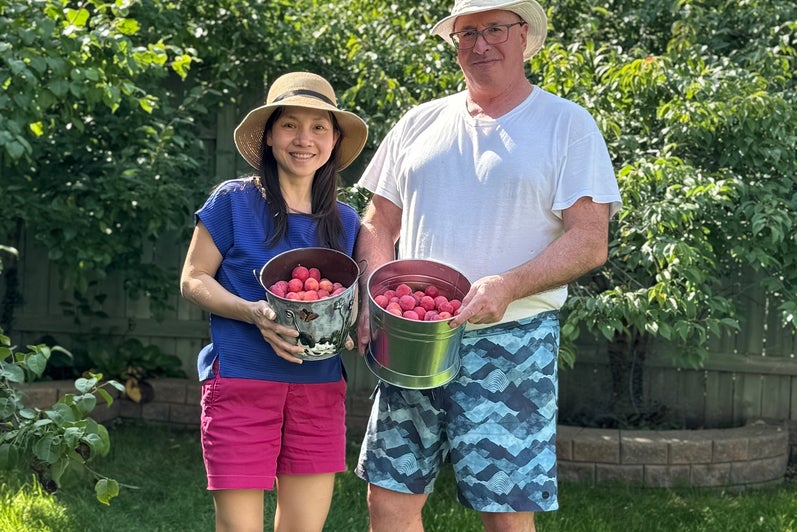 Man and woman holding buckets of plums