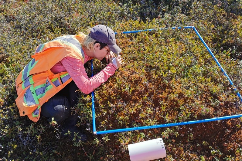 performing a vegetation survey