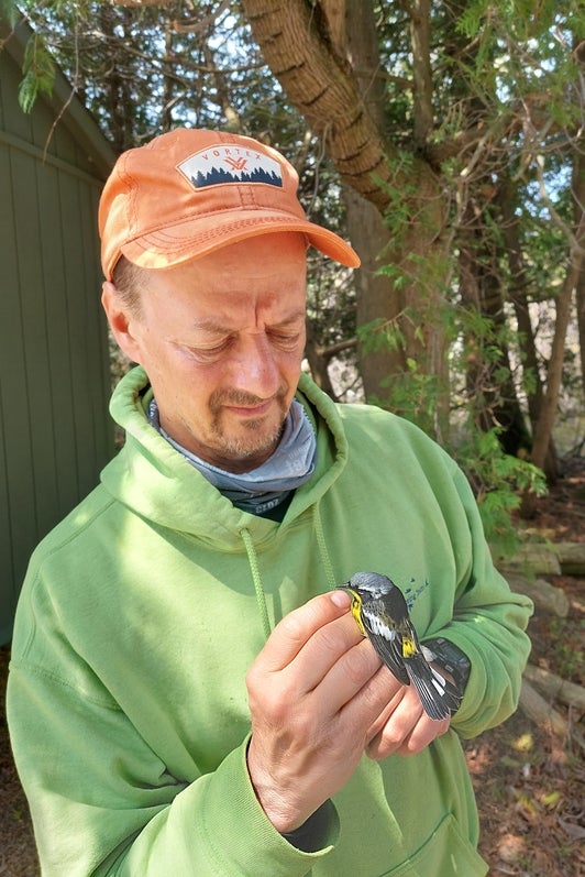 Man with orange cap and green hooty holds a bird. 