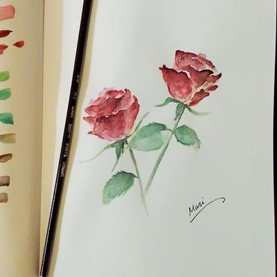 drawing of two roses