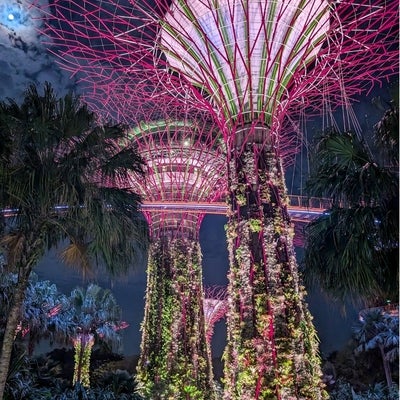 Super-trees at Gardens by the Bay in Singapore, with a full moon peaking through a gap in the night sky.