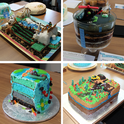 Four cakes of Bake Your Resarch competition
