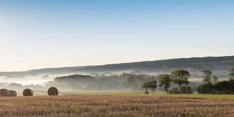 Agricultural field in France