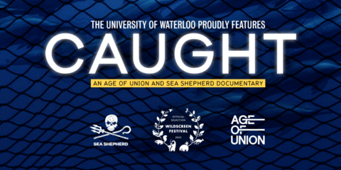The University of Waterloo proudly presents CAUGHT. 