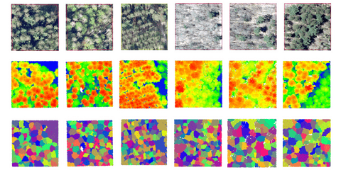 Remote sensing of forest plots, including the orthophoto, DSM rendering based on AML point cloud, and the final manually labelled tree instance.