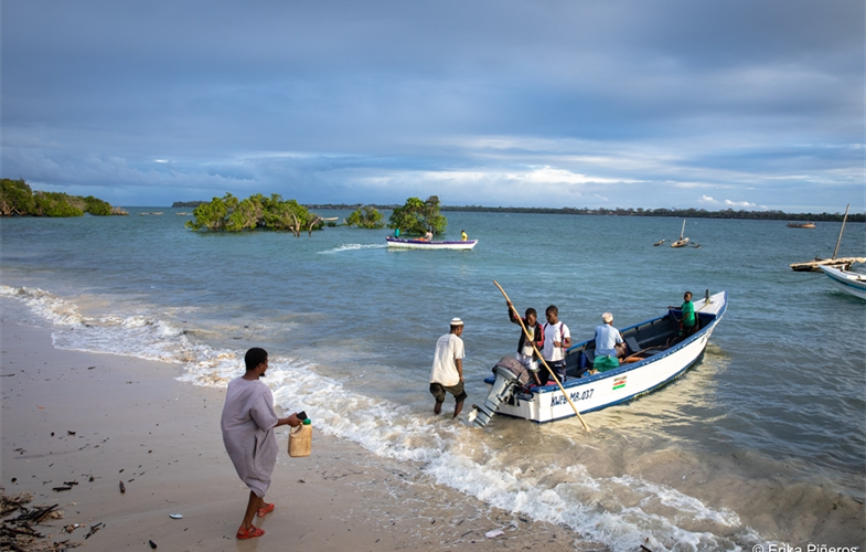 Folks fishing off a beach