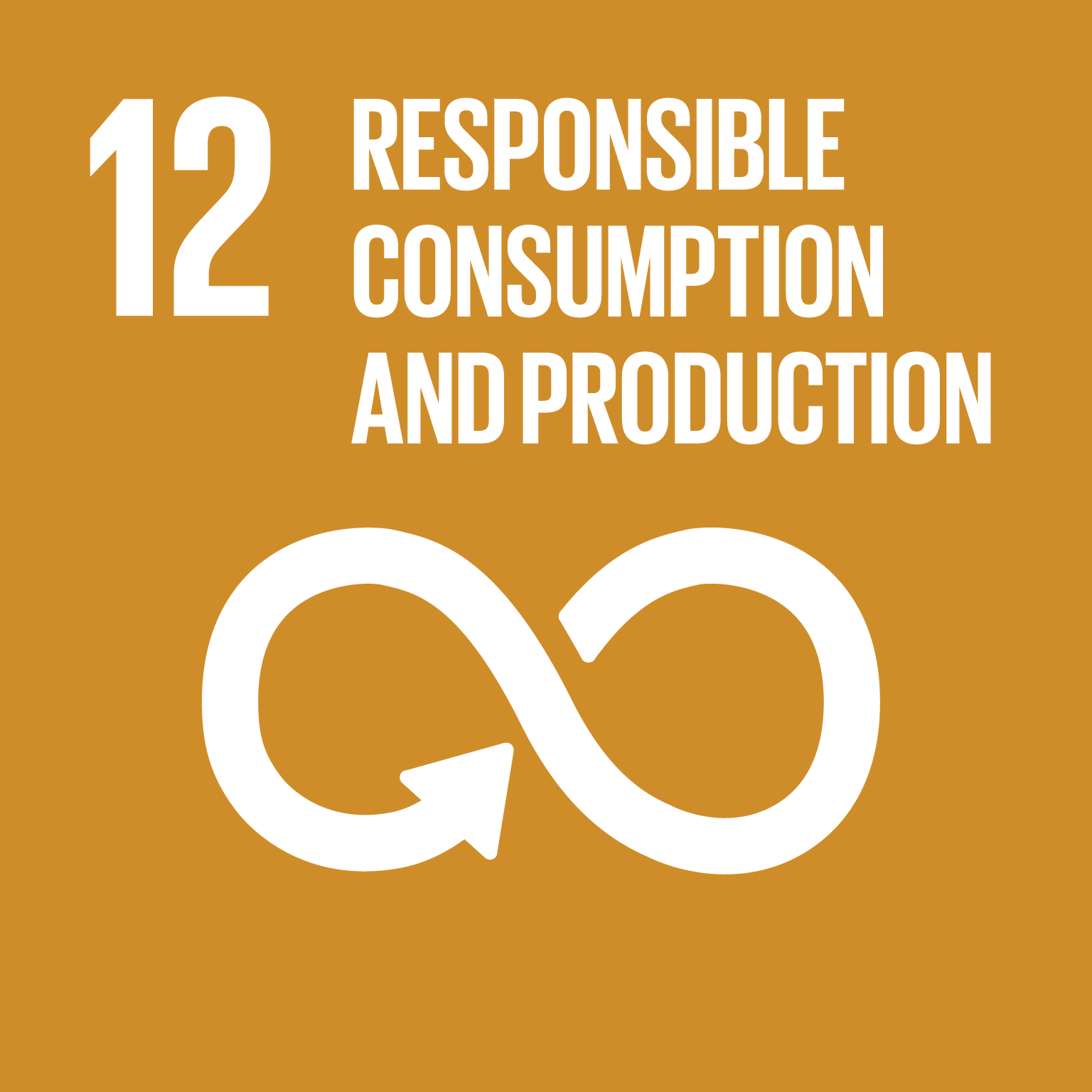 SDG 12 Consumption